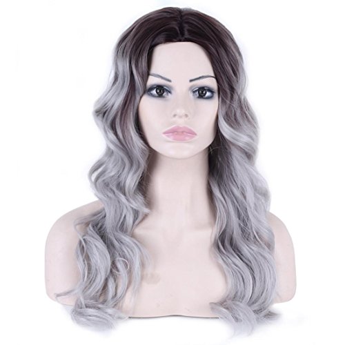 Long Curly Wigs, Inkach Trendy Womens Middle Part Wave Grandma Ombre Grey Heat Resistant Synthetic Wigs