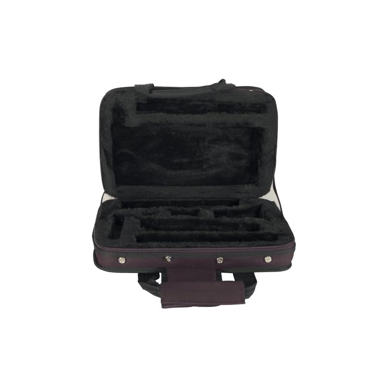 Guardian CW012CL Featherweight Case, 2023 reviews Whydis