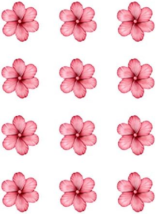 Light Pink Hibiscus Flowers - Edible Image Cupcake Toppers - Set of 12 Precut - 2 inch Round