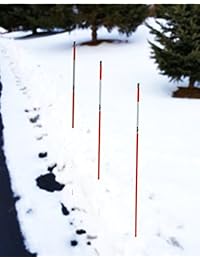 Nieve polo Driveway Marker, 48 Inch con cinta reflectante, HiViz naranja y martillo tapa, paquete de 1, 665 10
