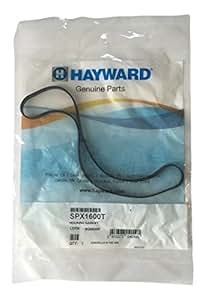 Amazon.com: Hayward SPX1600T Housing Gasket Replacement