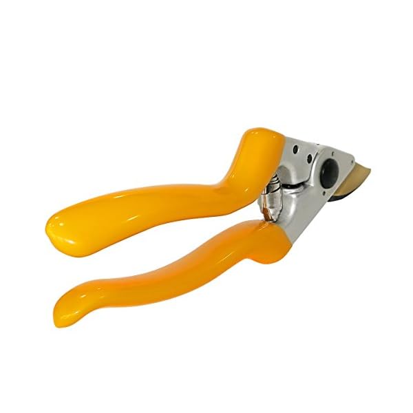 GRÃNTEK Premium Gartenschere Z-25, Geschmiedet, TITAN beschichtete SK5 PrÃ¤zisionsklinge, Baumschere Rebschere Ergonomisch 215 mm, Bypass Rosenschere Antihaftbeschichtet, Zufriedenheitsgarantie – Bild 6