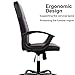 Office Chair, Ergonomics Mesh Chair Computer Chair Desk Chair High Back Chair w/Adjustable Headrest and Armrest