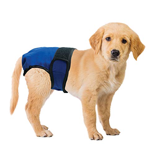 wee wee washable diapers