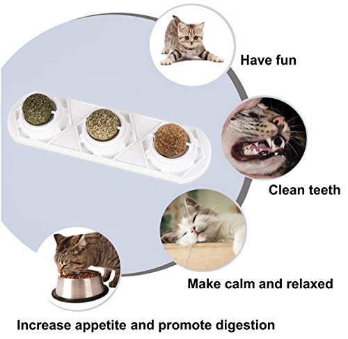 diy compressed catnip balls