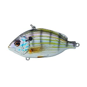 pinfish amazon