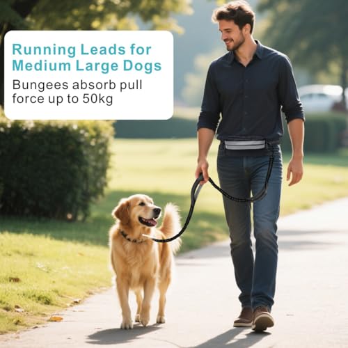 Fiade Hand Free Dog Lead Jogging Leash with Belt and Detachable Bag, Training for Medium and Large Dogs