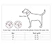 BINGPET BA2041 Diamond Bow Tie Crystal Rhinestone Pet Collar Designer Girl Boy Dog Collars-Pink