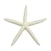 Starfish Decor - Star Fish for Craft - 15pk Real 4-6