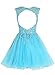 JAEDEN Homecoming Dresses for Teens Short - Prom Dress 2024 HOCO Dresses Lace V Neck Tulle Blush US12