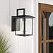Emliviar Outdoor Wall Light, 1-Light Wall Sconce, Black Finish with Clear Glass, 20064B1