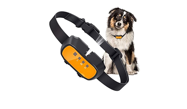 citronella safe for dogs