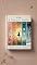 Livro A Dança das Estações