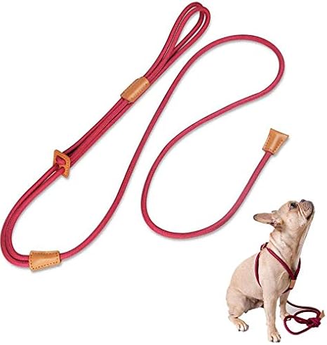 rope harness leash