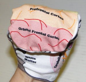 5 Handy+Brain+Model+B+1+2+medium