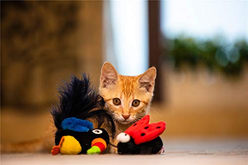 Gigwi Chirpy Beetle Sound Cat Toy, Interactive Squeaking Beetle Cat Toys Melody Chaser Play N Squeak Kitten Toy for Boredom