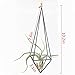 NCYP Modern Rustic Art Style Freestanding Hanging Metal Tillandsia Air Plant Rack Holder Black 10 inches Height Quadrilateral Pyramid Shape Geometric Hollow Flower pots, No Plants Included
