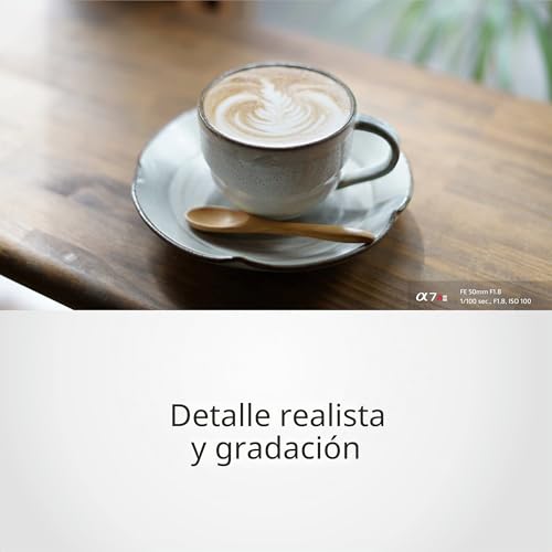 Sony SEL50F18F 50mm F1.8 Full Frame & APS-C Fixed Focal Length Lens, Luminous with Quiet Autofocus, E-Mount, Ideal for Portraits (Compatible with A7, ZV-E10, A6400, A6700 Series), Black