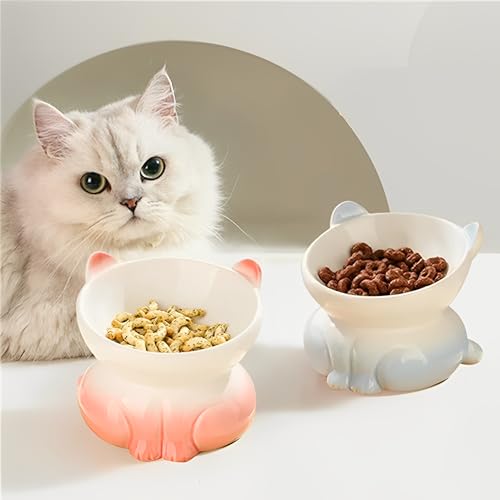 Beauenty 2 Pcs Ceramic Elevated Cat Bowls - Tilted Raised Cat Bowl Anti Vomit Cat Food Bowls for Indoor Cats, Whisker Friendly Design, Microwave & Dishwasher Safe
