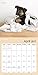 Rachael Hale Dogs Wall Calendar (2017)