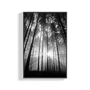 Canvas Wall Art for Living Room, Bedroom Plants Framed Canvas Prints for Home Decoration Ready to Hang - 16x24 inches