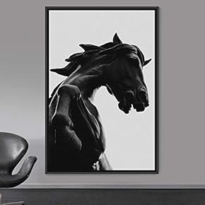 signwin Framed Canvas Wall Art High Contrast Horse...