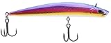 Berkley Finisher Fishing Hard Bait