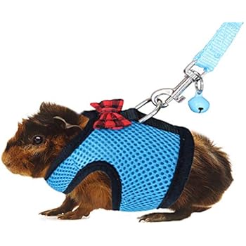 RYPET Ferret Harness and Leash - Soft Mesh Small Pet Harness with Safe Bell, No Pull Comfort Padded Vest for Guinea Pigs, Ferret, Chinchilla and Similar Small Animals