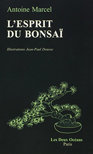 L' esprit du bonsaï