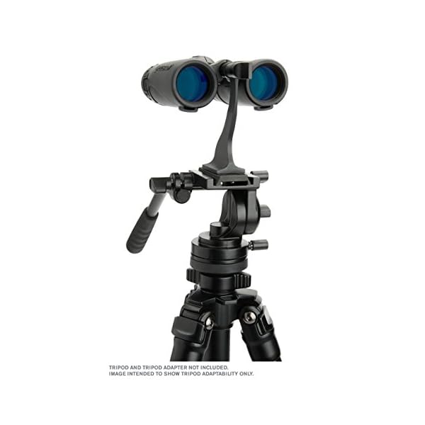 Celestron 71370 Granite 9 x 33 Dachkant Fernglas – Bild 8