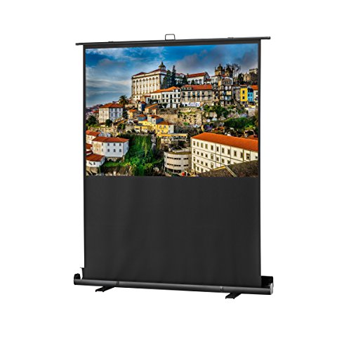 celexon-90-Pull-Up-Projector-Screen-Mobile-Professional-Plus-76-x-43-Viewing-Area-169-format-Portable-floor-pull-up-projector-screen-Pneumatic-Lift-Leightweight-aluminium-case
