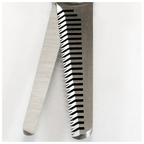 SEKI EDGE SS-701- Blending Haircutting Scissors