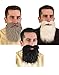 Fun World Accessorie's Men's Gray Mustache and Beard, Standard