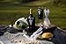 ULA Bride and Groom Wine Bottle Cover-Black Tuxedo Wine Cover Funny Gifts,Bridal Shower Gifts,Newlywed Gifts,Couples Gifts,Wedding Decoration (Black Tuxedo Classic)