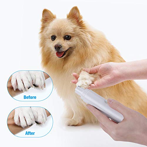 isYoung Krallenschleifer für Hund und Katze, Super Low Noise Nagelschleifer Haustier Nagelfeile mit USB Anschluß Zwei Geschwindigkeitsmodi
