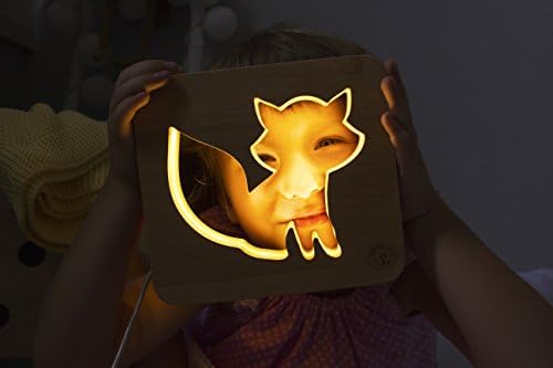Nightlights for children.Table lamps for bedrooms. Bedroom baby night light. Modern nightlight bedside lighting. Nursery projector light kids gift (Wired, Fox)