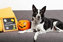 Kate & Milo Halloween Letterboard Set, Halloween