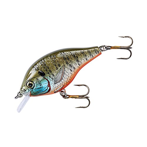 Rebel Lures Bluegill Square Bill Crankbait Fishing Lure with Barbless Hooks, 2 1/2 Inch, 1/4 Ounce, Natural Bluegill F82535
