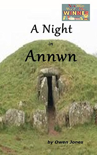 A Night In Annwn: The Story Of The Near-Death Experience of Willy Jones by Owen Jones