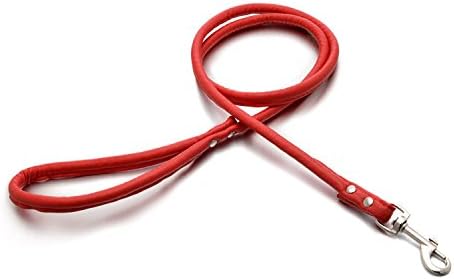 Rachel Pet Products Round Colorful Genuine Leather Rolled Dog Walking Leashes for Small Medium Breeds