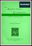 Front cover for the book From Adam's peak to Elephanta: sketches in Ceylon and India by Edward Carpenter