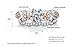 Zhiwen By lucky Gorgeous Women's 2 PCS CZ Vintage Engagement Wedding Ring Set Lotus Flower Rose Gold Plated Two-tone Bridal Eternity Rings（Size 5-10） (US code 7)