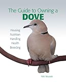 Guide to Owning a Dove by Nikki Moustaki