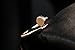 Creativelife Women's Personality Rose Golden Nail Ring