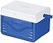 Coleman FlipLid 6 Personal Cooler