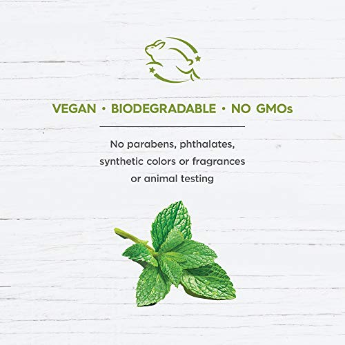 AVALON ORGANICS CONDITIONER, SMOOTH SHINE APPLE CIDER VINEGAR, 11 OZ (PACK OF 6)