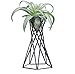 YiXUAN Tabletop Metal Air Plant Holders Stands Plant Containers Flower Racksthumb 2