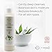 O Naturals Hemp Seed Oil Face Wash & Cleanser. ECOCERT Certified Organic. Pore Purifying. For sensitive and Oily Skin. With Aloe Vera, Rosehip Oil. Vegan Liquid Soap. No Parabens & Sulfates 8.45 Oz.
