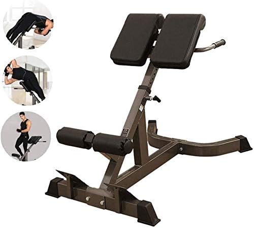 HOSTWEKLJT Adjustable Benches Dumbbell Adjustable Weight Bench Stools Roman Chairs Fitness Equipment Multifunctional Roman Stools Fitness Chairs Goat (Color : Black, Size : 1626480cm)