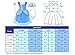 Party Chili Princess Fairy Costume Toddler Girls Birthday Dress Up with Tiara (3T 4T)